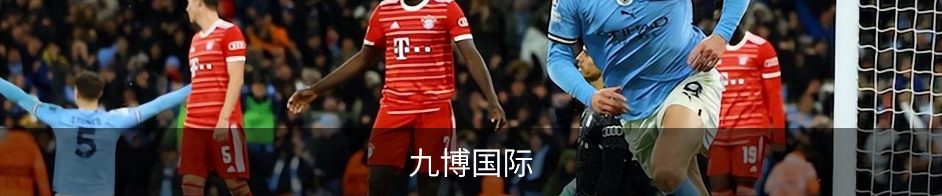九博国际