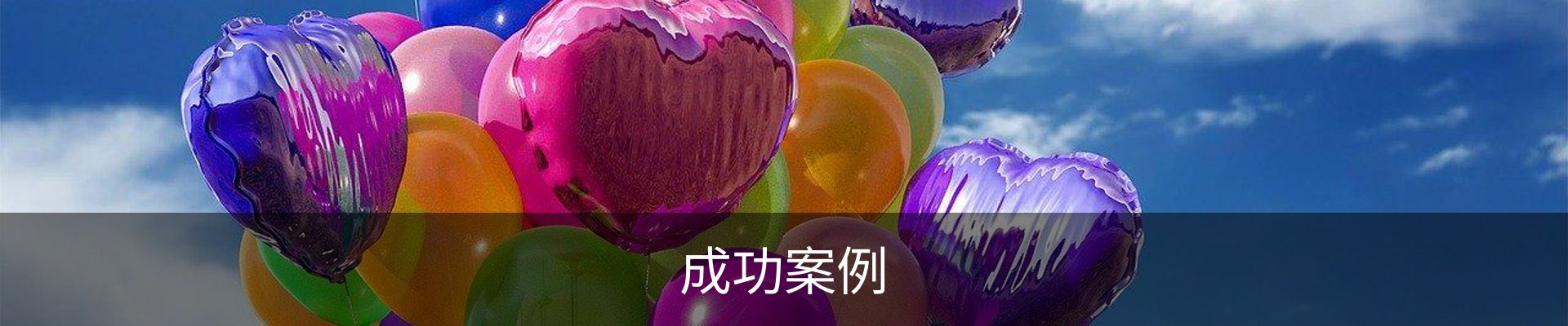 成功案例